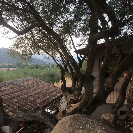 S'Umbra De S'Ozzastru Villa Orgosolo Exterior photo