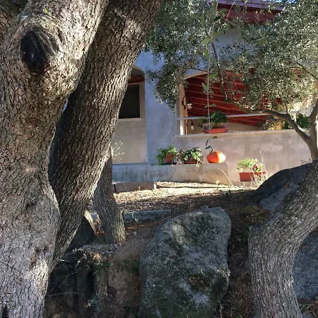 S'Umbra De S'Ozzastru Villa Orgosolo Exterior photo