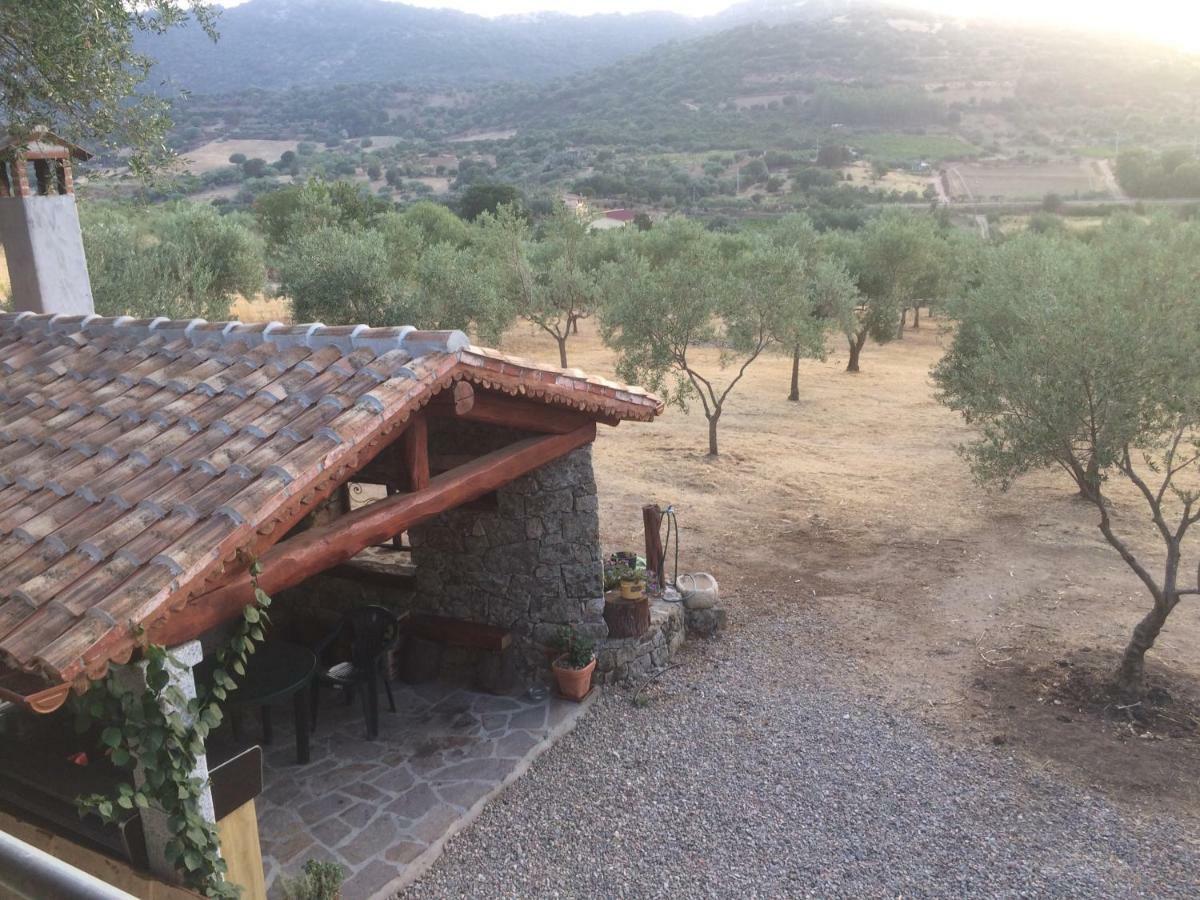 Holiday home S'umbra De S'ozzastru Orgosolo