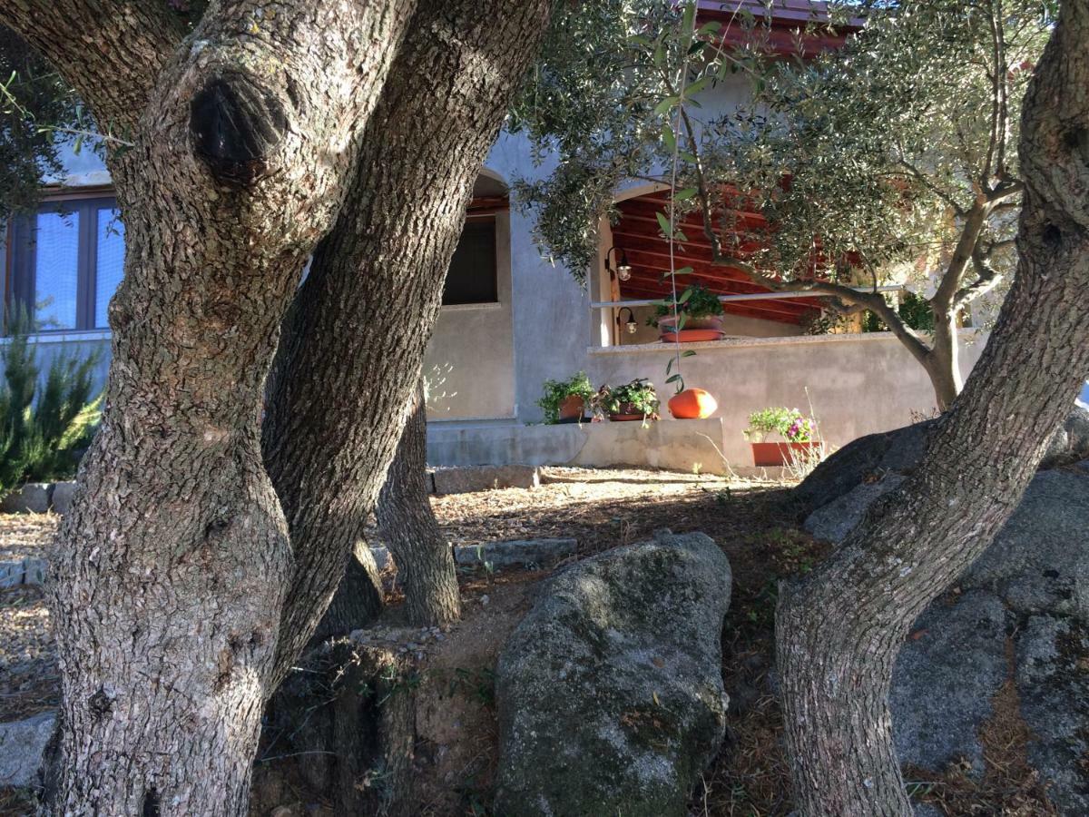 S'umbra De S'ozzastru Holiday home *