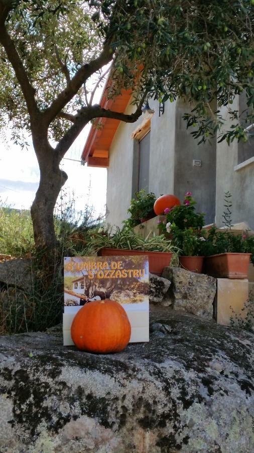 S'umbra De S'ozzastru Holiday home