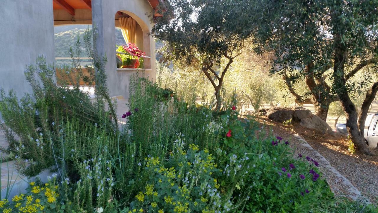 Holiday home S'umbra De S'ozzastru *